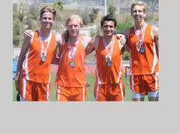 Image result for Valhalla Netball Club