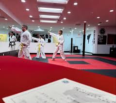 Image result for Karstadt TaeKwonDo