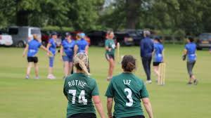 Image result for Chew Magna Cricket Club