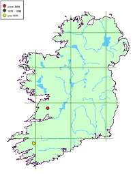 Attēlu rezultāti vaicājumam “Xylographa paralella”