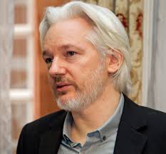 Image result for assange