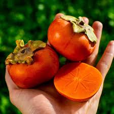 Image result for sharon fruit
