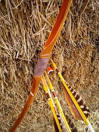 Image result for ArcheryDuns