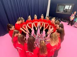 Image result for Allstarz Gymnastics Club