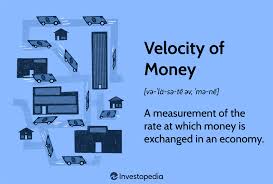 Image result for Velocity