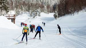 Image result for Scandinavian slope and cross country skiing