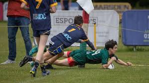 Image result for Halton Farnworth Hornets A R L F C