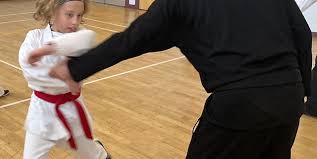 Image result for Maidenhead Karate Club