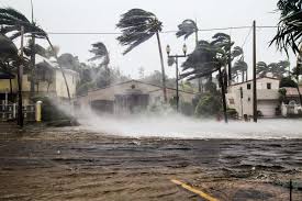 Image result for Hurricanes