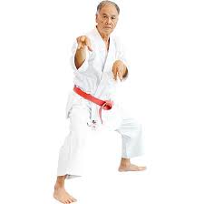 Image result for Imi Jishin Ryou karate do