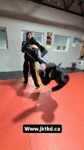 Image result for Surrey Taekwondo