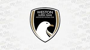 Image result for Weston super Mare Kingfishers Netball Club