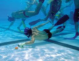 Image result for Dublin Underwater Hockey Team