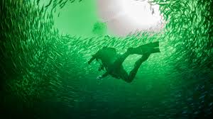 Image result for Dublin Underwater Hockey Team