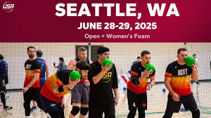 Image result for York University Dodgeball Club