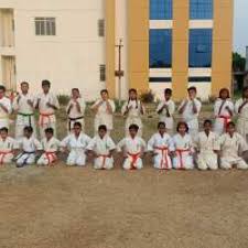 Image result for COURT FIELDS karate Academy