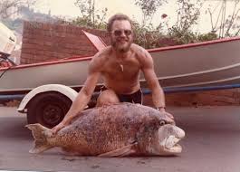 Image result for Cymatoceps nasutus