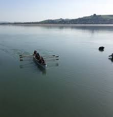 Image result for Appledore Pilot Gig Club