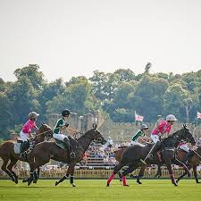 Image result for Cowdray Park Polo Club