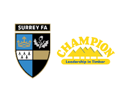 Image result for Chiddingfold Youth Fc