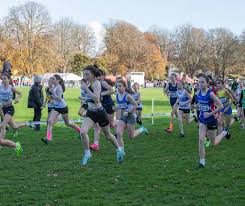 Image result for Deeside Aac