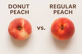 Image result for donut peach