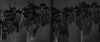 Image result for ,vhapuni神光琳