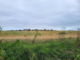 Image result for Chelmsford Rambling Club