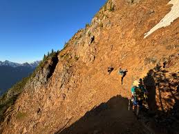 Image result for Birkenhead Sc