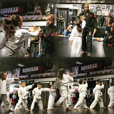 Image result for Blackpool Budokan Martial Arts
