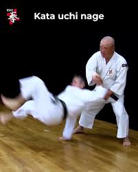 Image result for Imperial College Shorinji Kempo Society