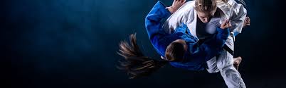 Image result for Anfield Youth Activity Centre Judo Club