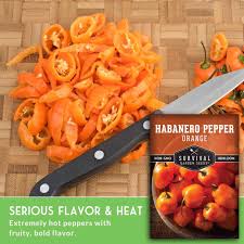 Afbeeldingsresultaat voor orange habanero hot pepper