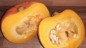 Image result for Kürbis