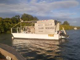 Image result for Exdive