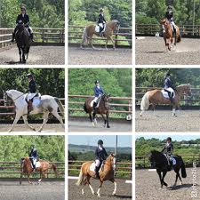 Image result for Lower Farm Stables
