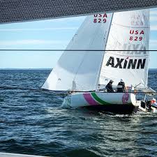 Image result for Pogo minitransat