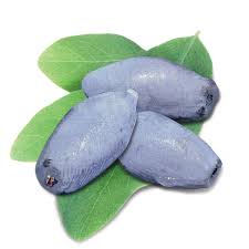 Attēlu rezultāti vaicājumam “Lonicera caerulea var. pallasii fruit”