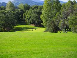 Image result for Arscott Golf Club