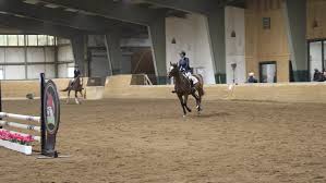Image result for Weybridge Equestrian Centre
