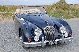 Image result for Indigo 2009 Jaguar