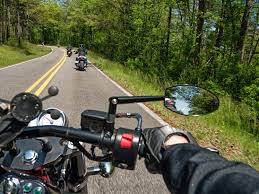 Image result for North Lammermuir Riding Club