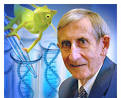 Our rosy future, according to Freeman Dyson - Global Warming - Salon.com - our_rosy_future_according_to_freeman_dyson