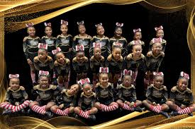 Image result for Fierce Athletics Cheerleaders