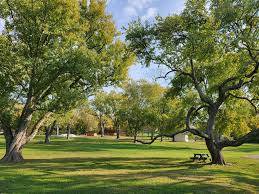 Image result for Keyingham WI*