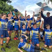 Image result for St Ives Rugby Club