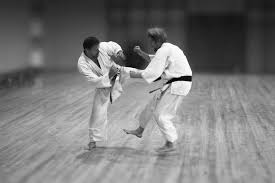 Image result for Reading Karate-Do Shotokai