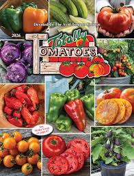 Afbeeldingsresultaat voor caro rich tomato