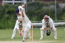 Image result for Bishops Waltham Cricket Club