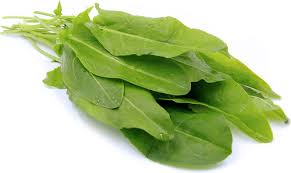 Attēlu rezultāti vaicājumam “Rumex acetosa fruit”